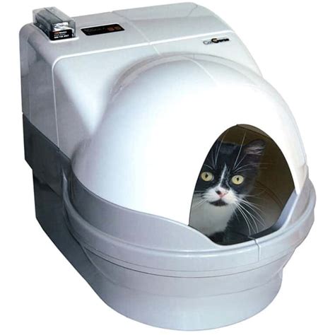 cheap electric litter box|best automatic litter box for multiple cats.